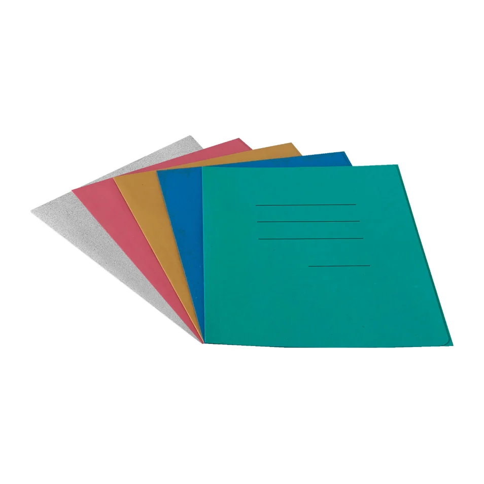 Cartelline con linee stampate A4 Assortiti carta pannosa 100 unità