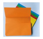 Fraschini Document Wallet 2017-ASS Assorted  2534 cm 10 Pieces