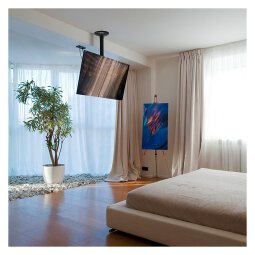 Supporto da soffitto per schermi LCD/LED fino a 40" (102 cm) NewStar FPMA-C060BLACK