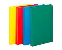 Scatola portaprogetto Fellowes rosso ppl 24 x 35 cm