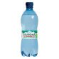 Acqua minerale frizzante Levissima 24 bottiglie RPET 0,5 L