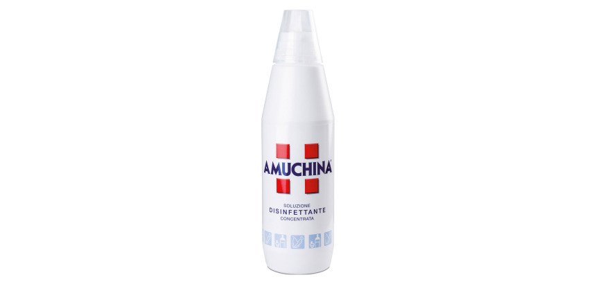 Soluzione disinfettante concentrata AMUCHINA Professionale 1 l