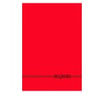 A4 29.7 x 21 cm 100 sheets