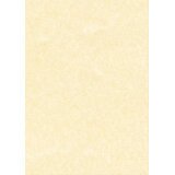 Carta pergamena DECAdry T105027 A3 165 g/m² 42 x 29,7 cm champagne 25 unità