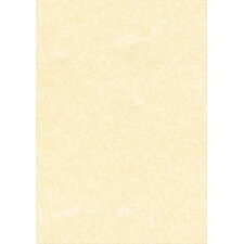 Carta pergamena DECAdry T105027 A3 165 g/m² 42 x 29,7 cm champagne 25 unità