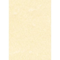 Carta pergamena DECAdry T105027 A3 165 g/m² 42 x 29,7 cm champagne 25 unità