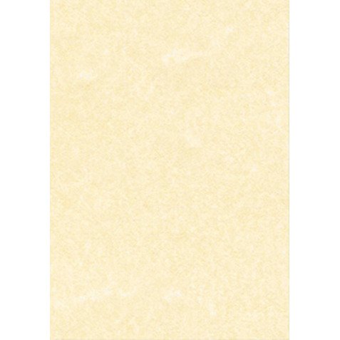 Carta pergamena DECAdry T105027 A3 165 g/m² 42 x 29,7 cm champagne 25 unità