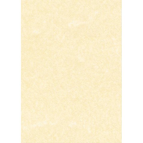 Carta pergamena DECAdry T105027 A3 165 g/m² 42 x 29,7 cm champagne 25 unità