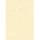 Carta pergamena DECAdry T105027 A3 165 g/m² 42 x 29,7 cm champagne 25 unità