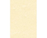 Carta pergamena DECAdry T105027 A3 165 g/m² 42 x 29,7 cm champagne 25 unità