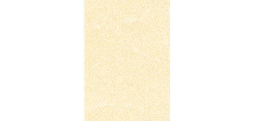 Carta pergamena DECAdry T105027 A3 165 g/m² 42 x 29,7 cm champagne 25 unità