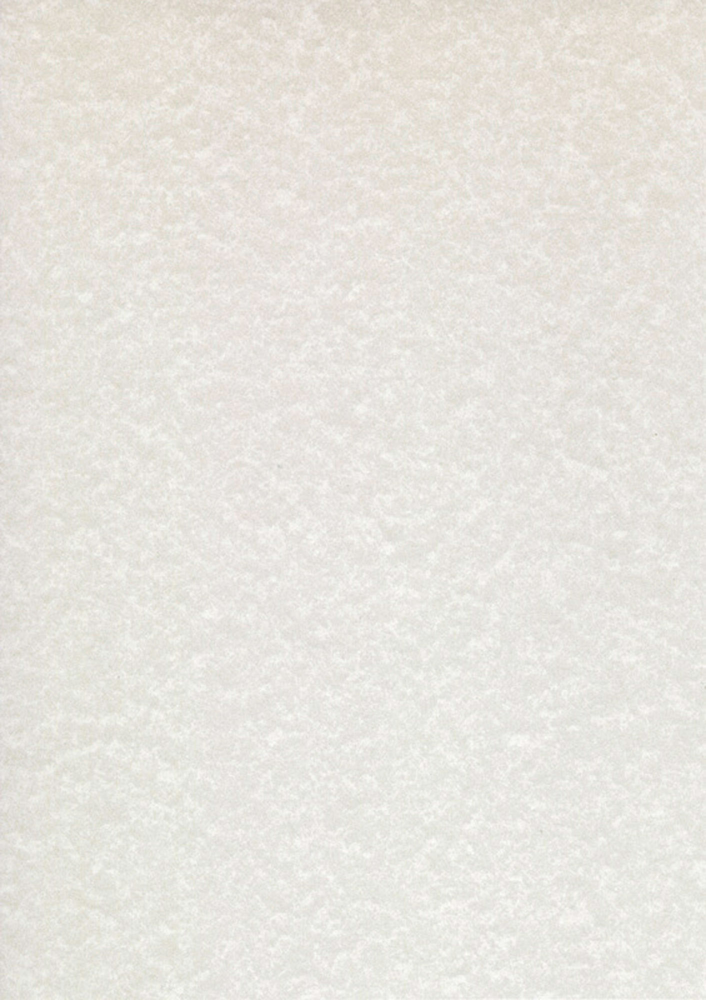 Carta pergamena DECAdry T105027 A3 165 g/m² 42 x 29,7 cm champagne 25 unità  su
