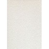 Carta pergamenata DECAdry Linea Corporate A4 95 g/m² 21 x 29,7 cm grigio 100 unità