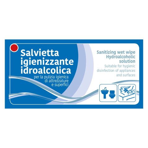 Salviette igienizzanti LEONE 300 unità