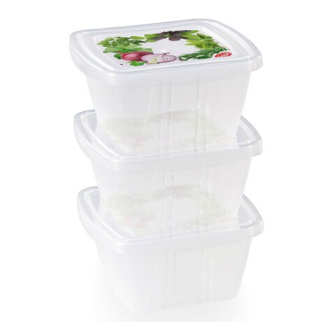 Contenitore salvafreschezza quadrato snips trasparente 3 unità da 250 ml