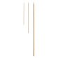 Spiedi bamboo LEONE 1000 unità