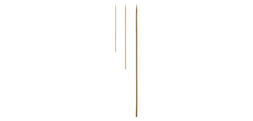 Spiedi bamboo LEONE 1000 unità