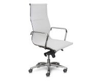 Pollux Space PXP Rete bianco