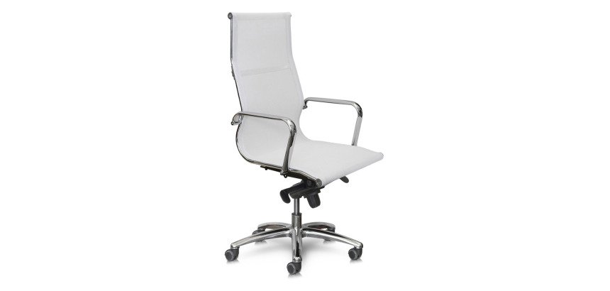 Pollux Space PXP Rete bianco