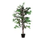 Pianta ornamentale Paperflow Ficus 190 x 190 x 1.200 mm