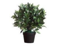 Paperflow Artificial Plant Le Laurel Assorted 190 x 190 x 500 mm