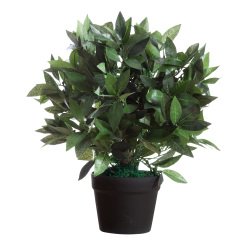 Paperflow Artificial Plant Le Laurel Assorted 190 x 190 x 500 mm