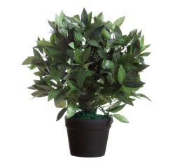 Pianta ornamentale Paperflow LE LAUREL 190 x 190 x 500 mm