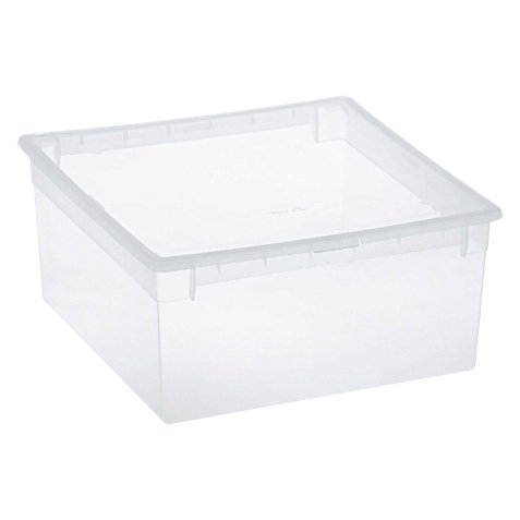 Scatola multiuso Terry Store-Age Light Box L trasparente polipropilene 23 litri