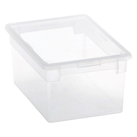 Scatola multiuso Terry Store-Age Light Box M/2 trasparente polipropilene 6 litri