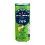 Limone & Menta San Pellegrino 33 cl - 24 canettes