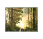 Poster mural 'Forêt', en plexiglas