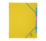 Trieur plastique Forever Young Exacompta 8 divisions couleurs assorties