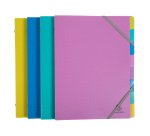 Trieur plastique Forever Young Exacompta 8 divisions couleurs assorties