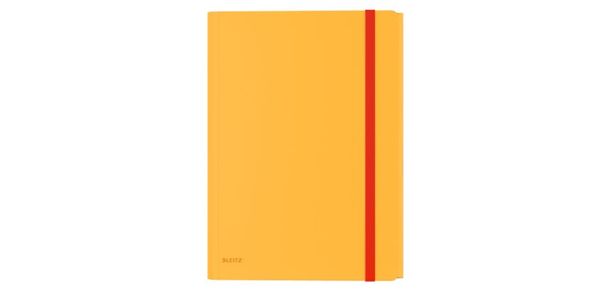 Carpeta 3 solapas con goma y bolsillo interior Leitz Cosy 