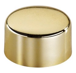 Magneten Ø 9 mm goud - set van 12