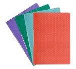 Protège-documents Esselte Colour Breeze polypropylène A4 - 40 pochettes - 80 vues - coloris assortis