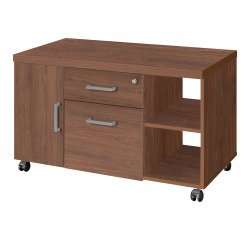 Mobile di servizio Shiny