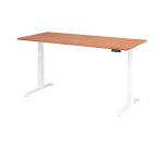 Zit-sta bureau basic met geheugen