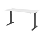 Zit-sta bureau basic