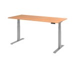 Zit-sta bureau basic met geheugen