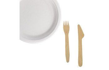 Disposable Utensils