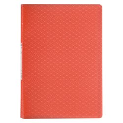Protège-documents Esselte Colour Breeze polypropylène 5/10e 40 pochettes - 80 vues couleur