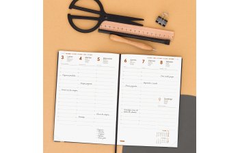 Agendas semana vista