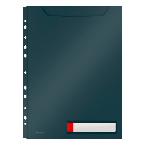 Pochette intercalaire A4 polypropylène opaque Leitz Cosy - Sachet de 3
