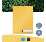 Fundas multitaladro polipropileno opaco leitz Cosy A4 Paquete de 3