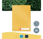 Dossier uñero polipropileno 200 micras Leitz Cosy A4 mate - Paquete de 3