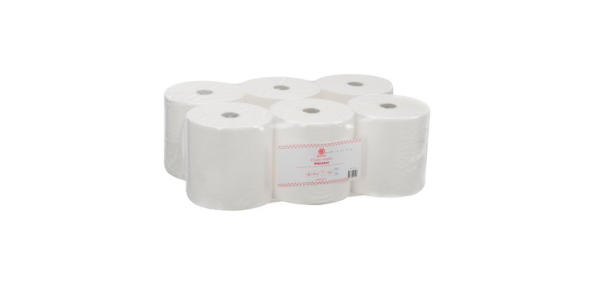 Hand wiper roll Bruneau Ecolabel double thickness 200 m - box of 6