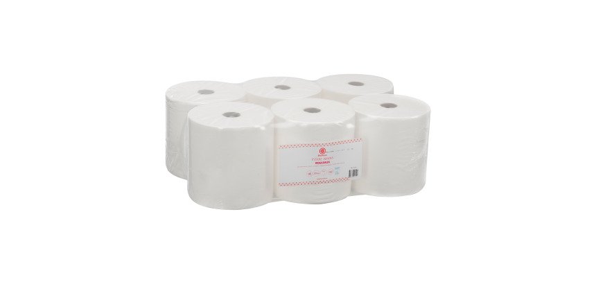 Bobina secamanos Bruneau Ecolabel doble capa 200 m - Pack de 6