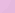 Rosa pastel