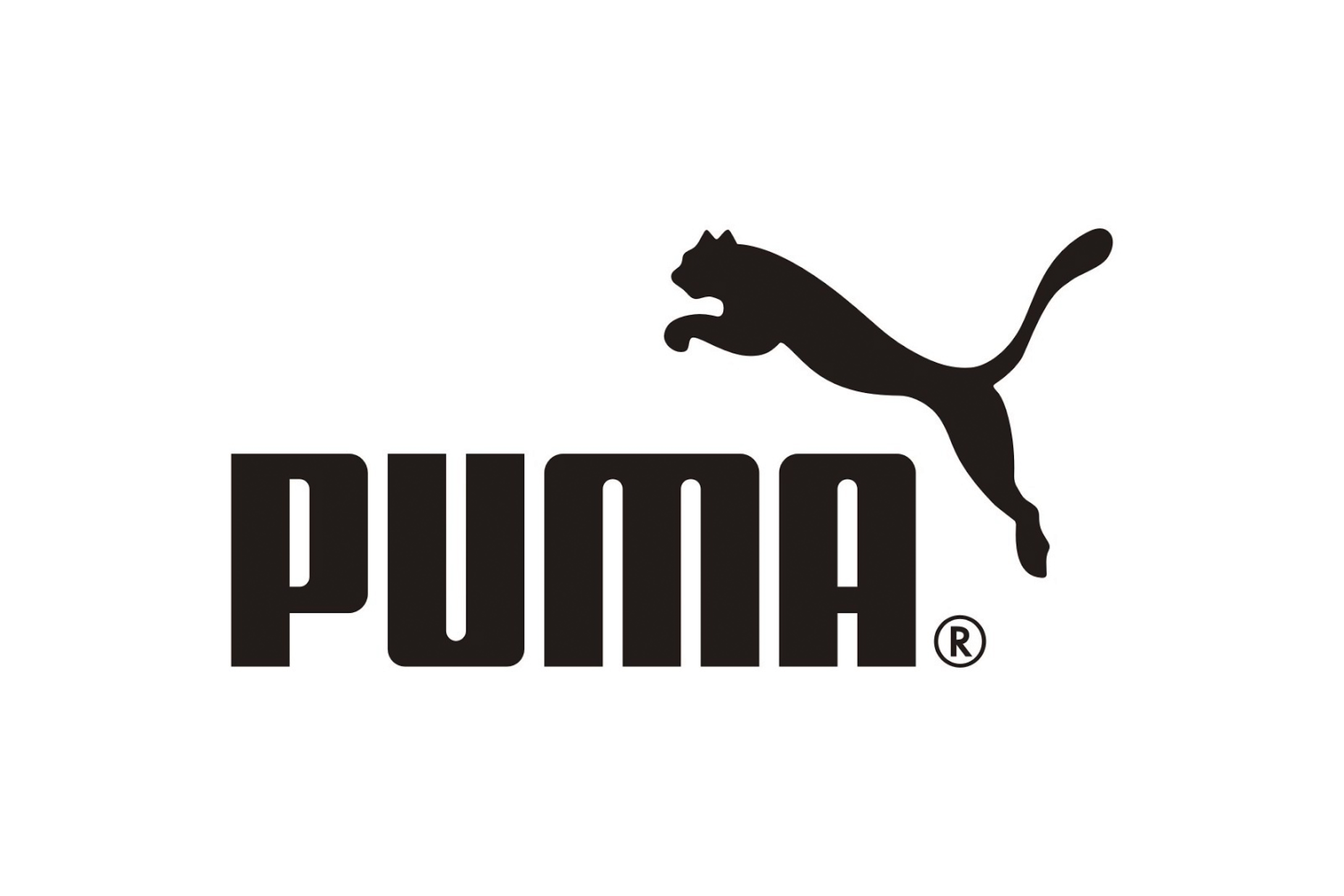 Puma Safety